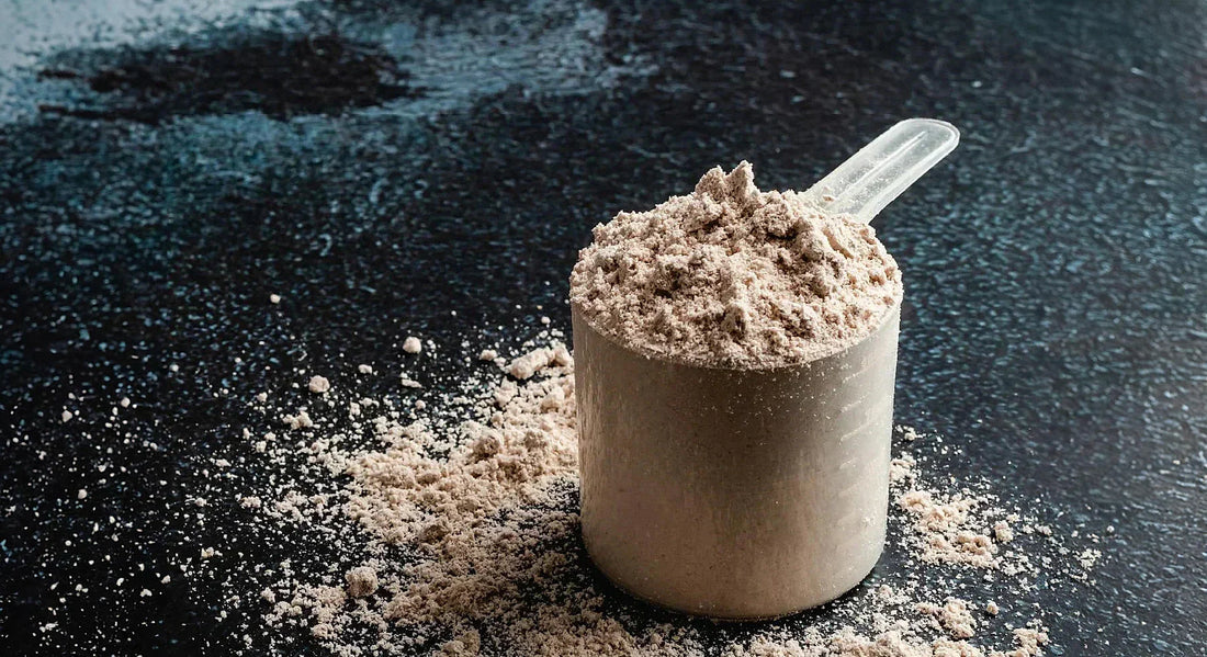 Whey Protein First: Why Collagen Is Overhyped